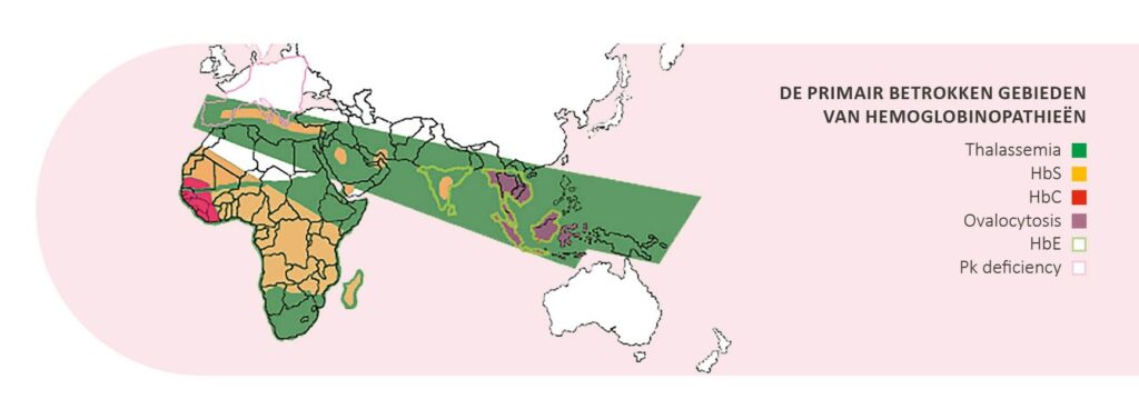 Primair Betrokken Gebieden Van Hemoglobinopathieën